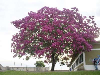 Minhoca⚢ tweet media