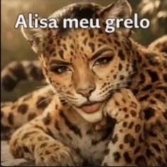 july, the blonde tweet media