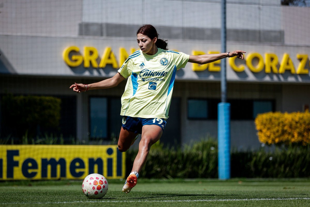 Nicole Gilbert 💛💙 tweet media