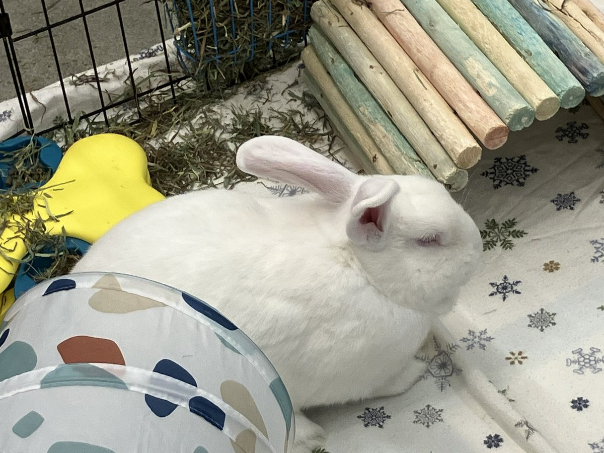 johnny*ˢʰᵉᵈᵗʷᵗ tweet media