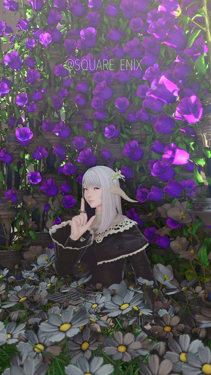 Rei@Valefor tweet media