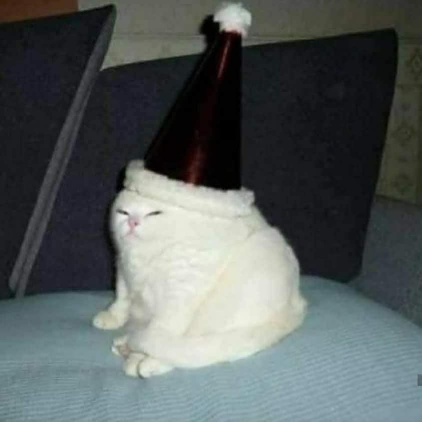 Crador_Murft tweet media