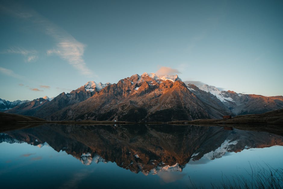 ナムのヤサ👽 tweet media