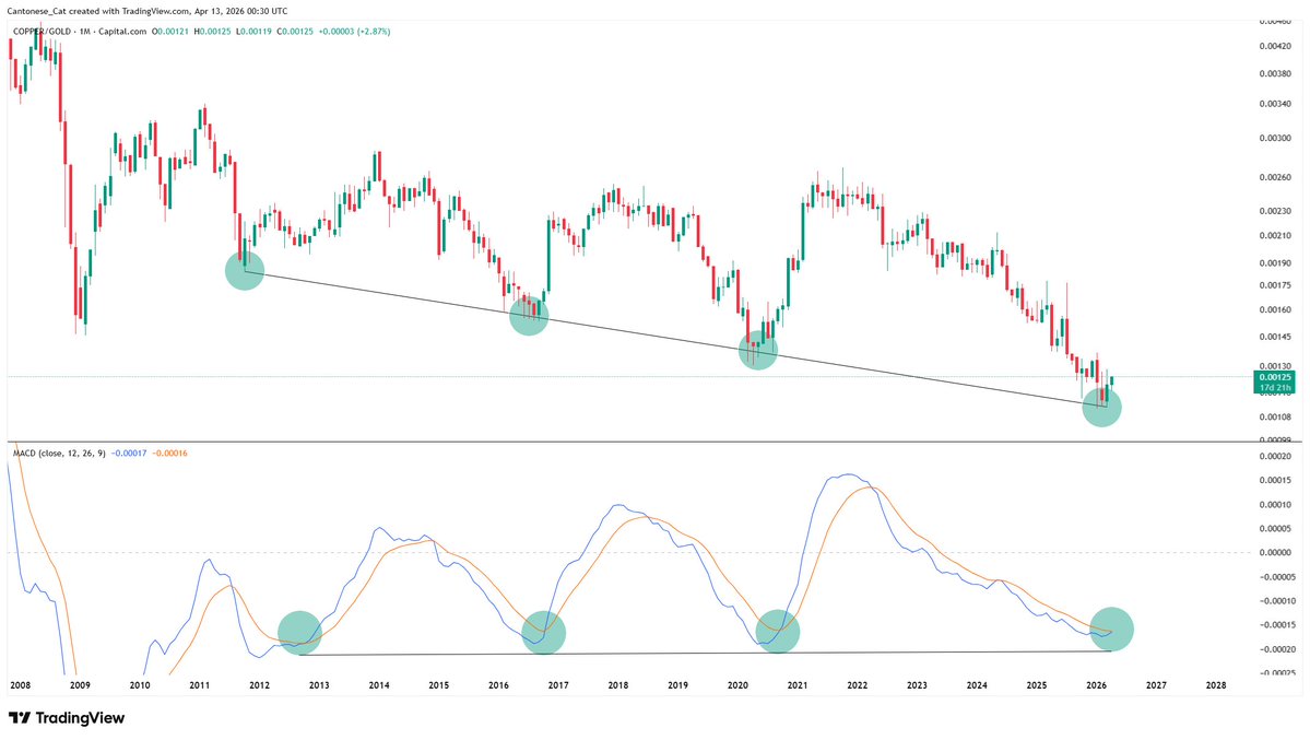 Cantonese Cat 🐱🐈 tweet media