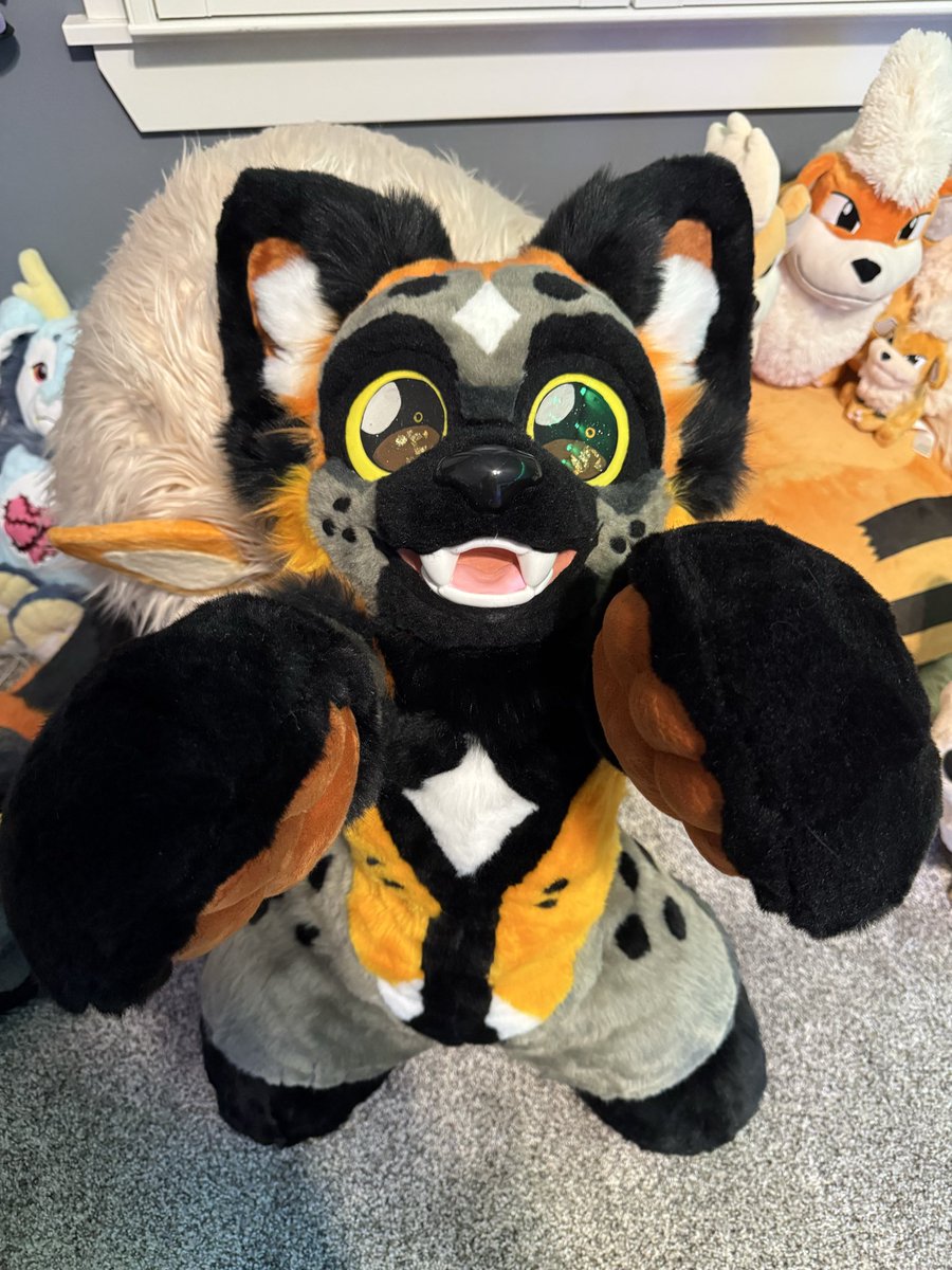 Harvest 🍁🍂🦊 tweet media