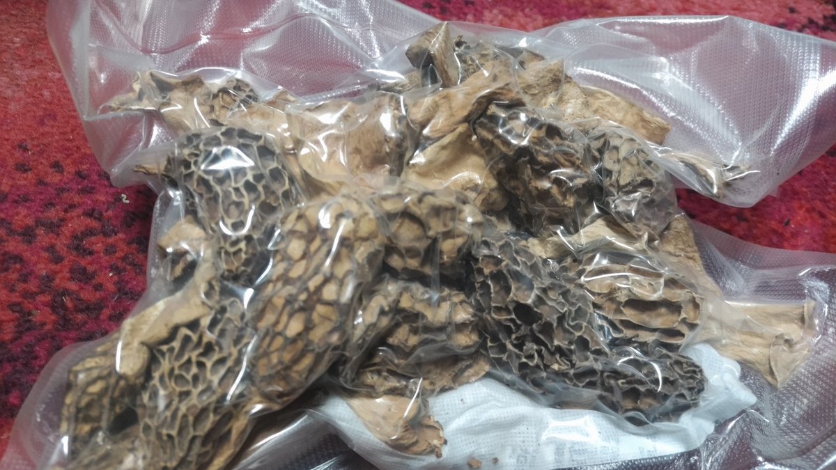 仕事行く前の早朝に乾燥工程完了。前回のも含めて真空パックにした。この瞬間がたまらなく好きなんですよね(変態)