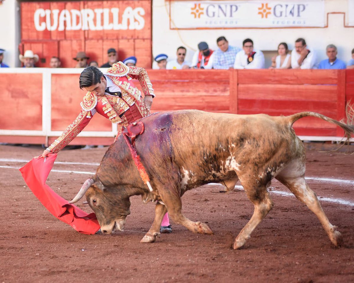 Monumental de Aguascalientes y Plaza San Marcos tweet media