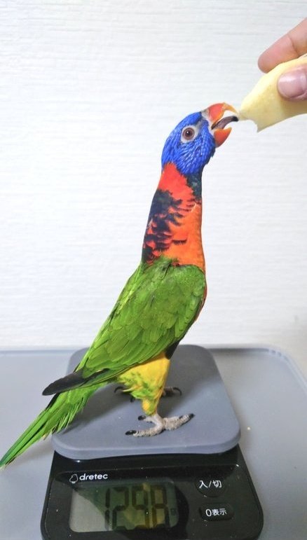 みくぺろ@顔面神経麻痺後遺症と生きる tweet media