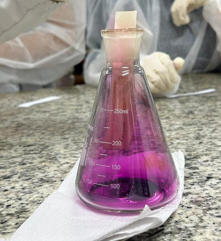 bibi VAI SER UFPA 2027 tweet media