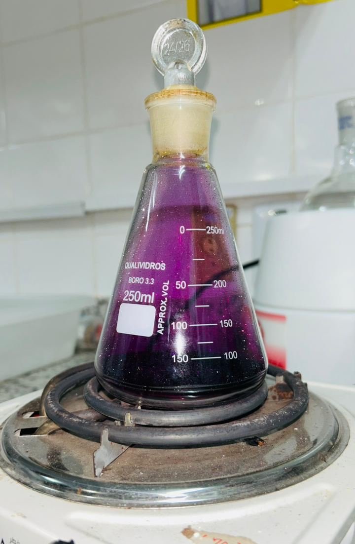 bibi VAI SER UFPA 2027 tweet media