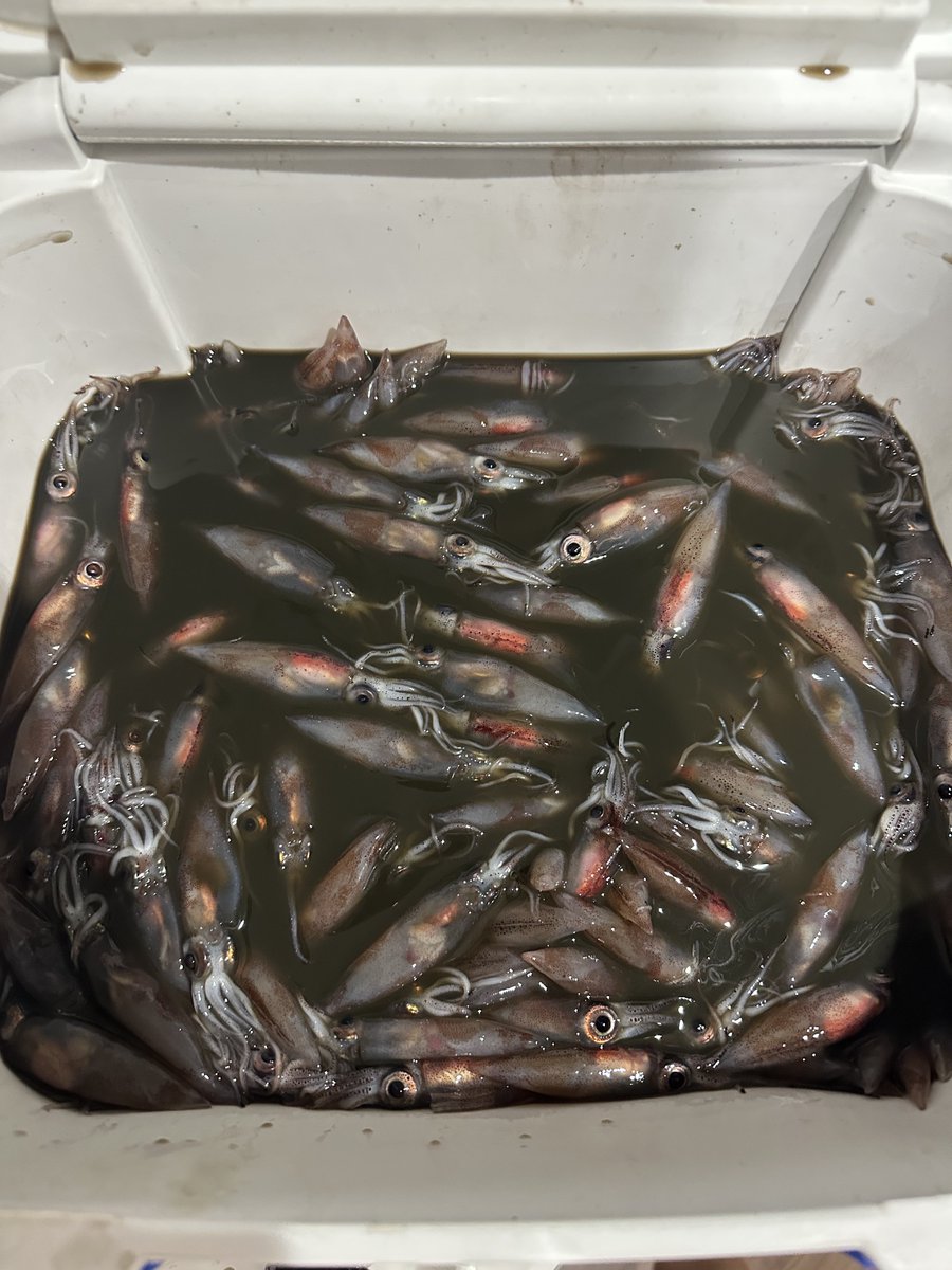 ぽん🌺☀️ tweet media