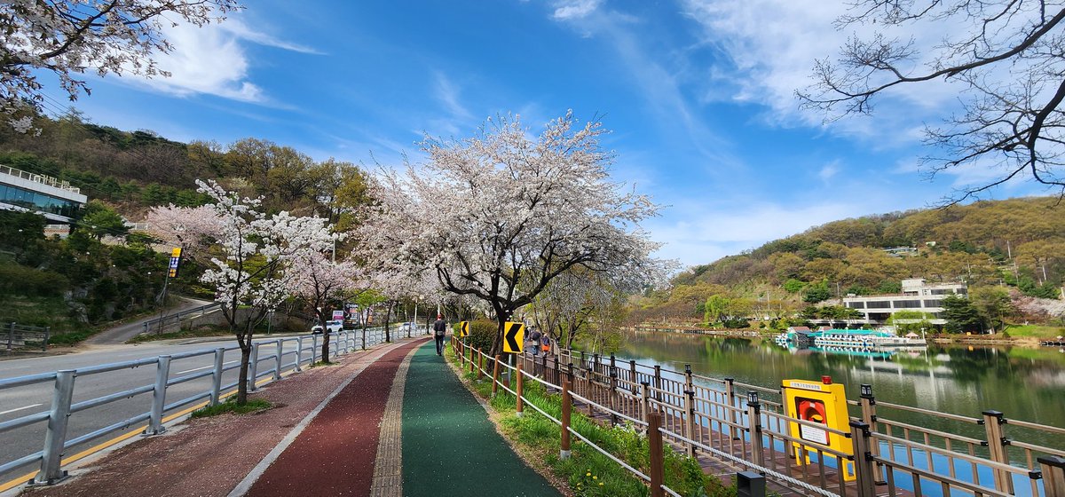 산책하기 너무 좋은 일요일
#청주_명암저수지 #벚꽃 #파란하늘 #평화로운 #iwpg_g10