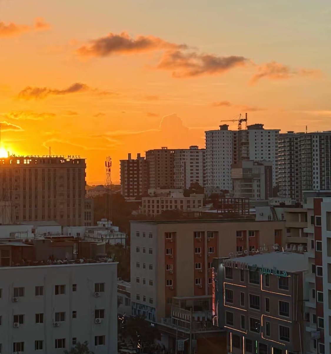 Amiin Maحammed Aw Cali tweet media