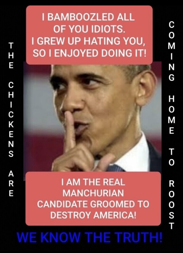 PAUL MYERS tweet media