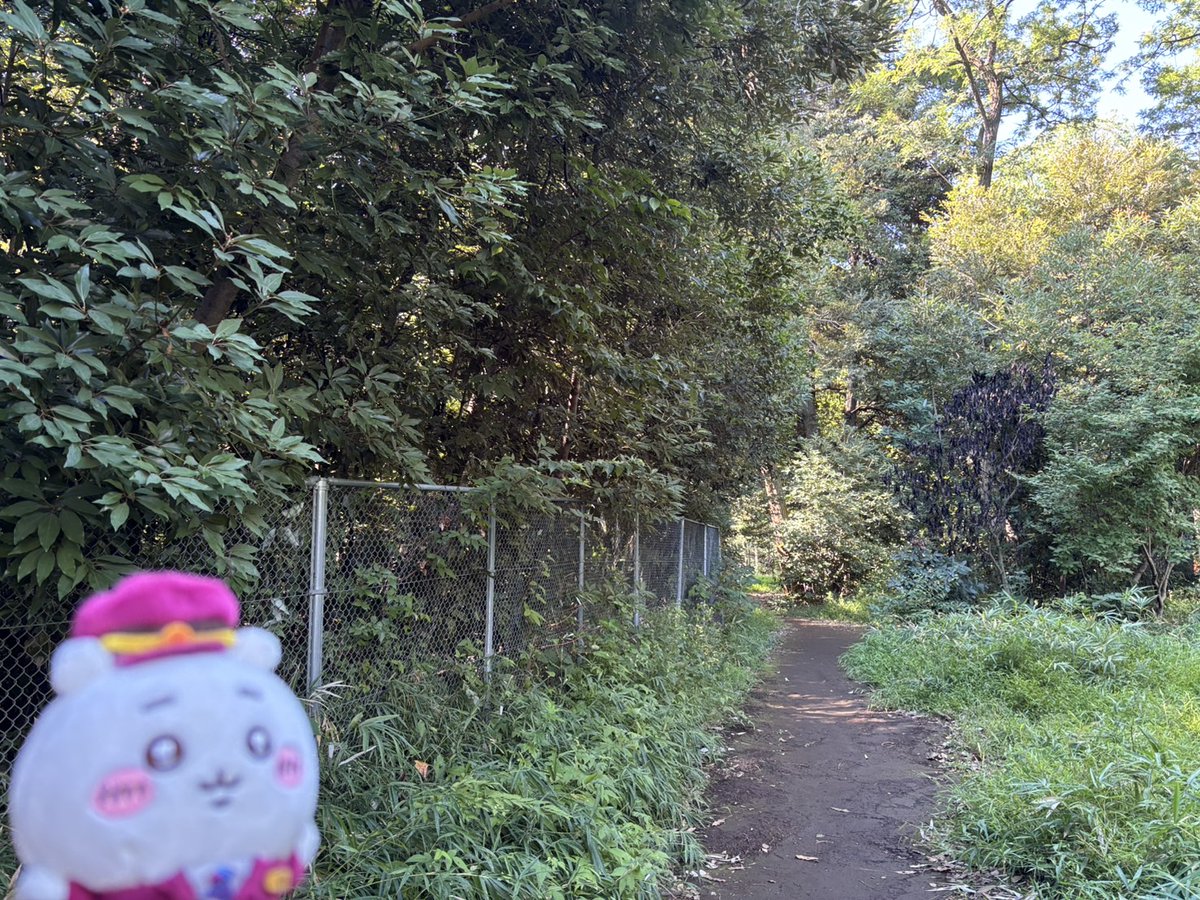 RIDING ROCK MUSIC（ギター教室・セッションイベントやってます） tweet media