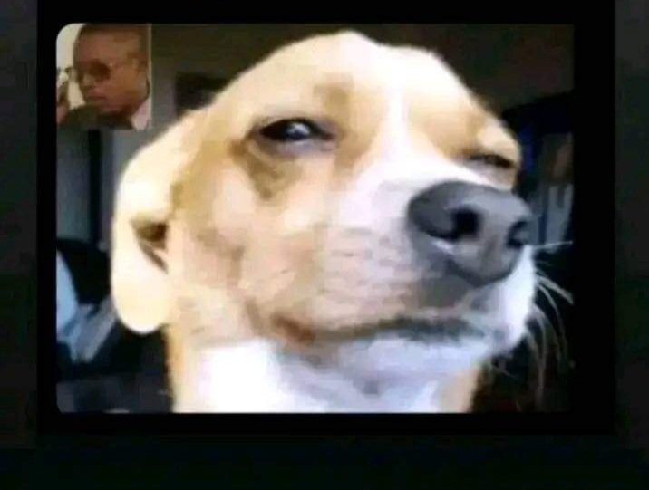 WalkManWise tweet media