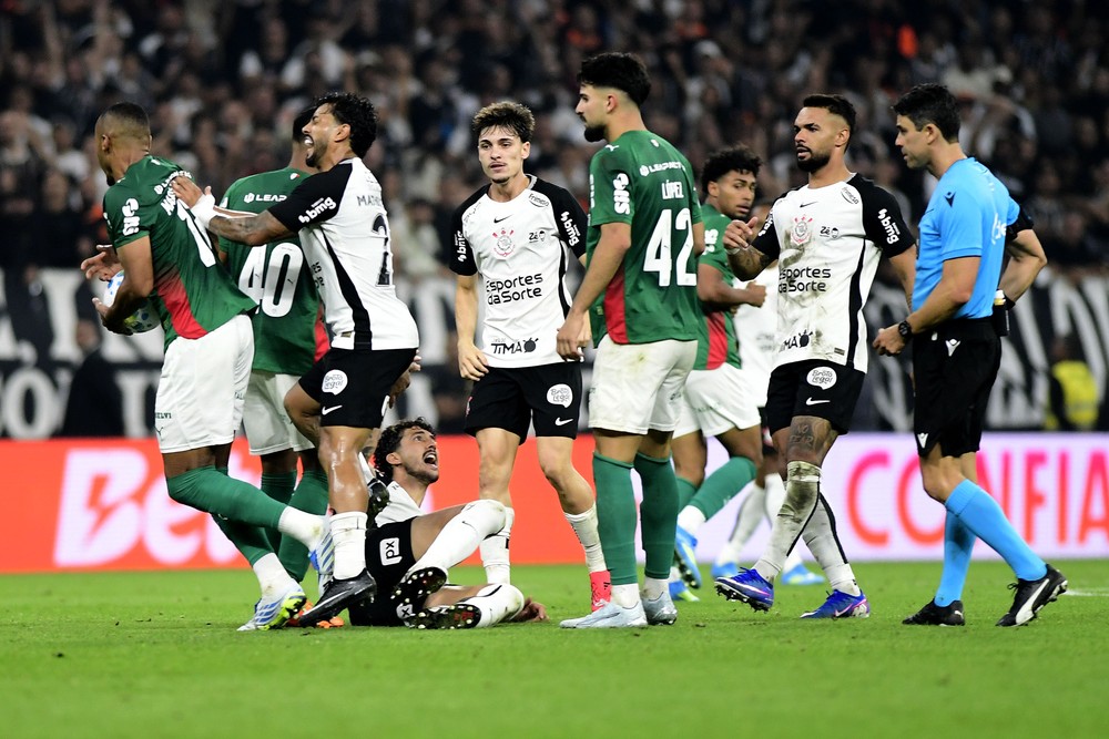 Planeta do Palmeiras 🌎 tweet media