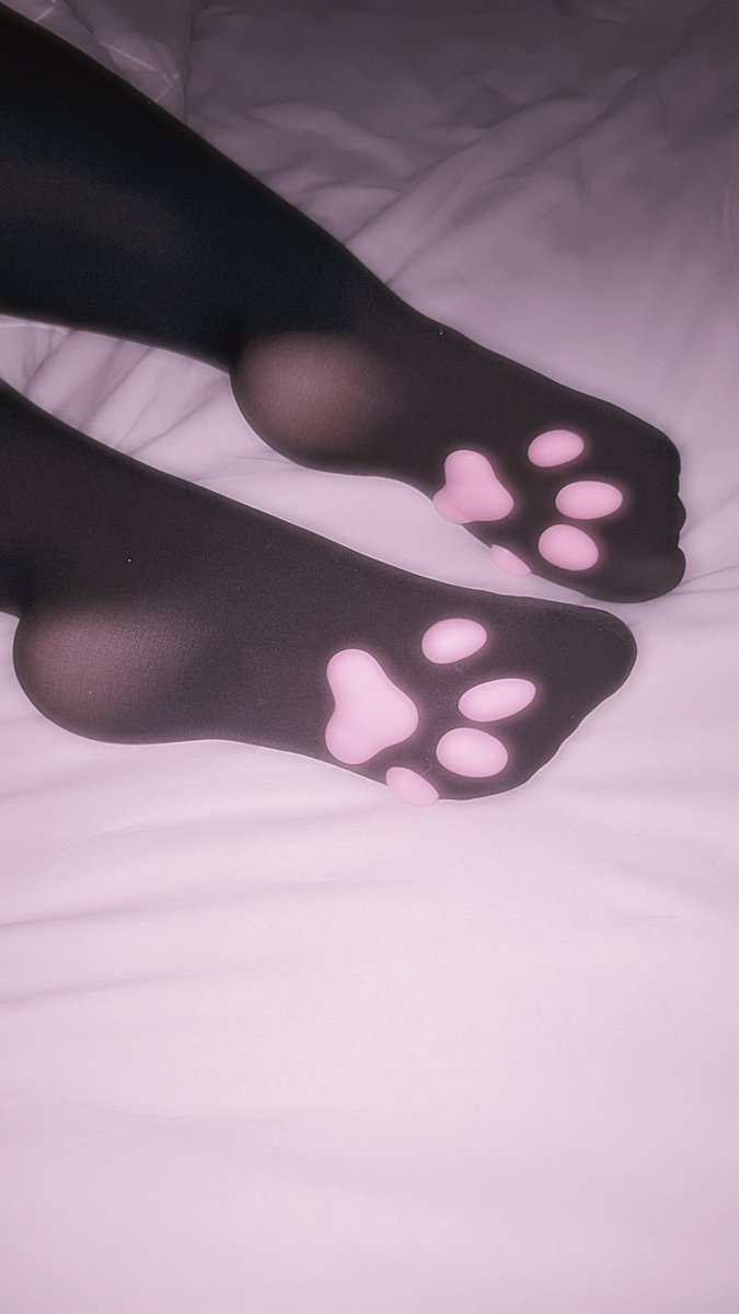 fweuwdmimi's tweet photo. ฅ paws at you* #paws #nsfwtwt #pawsocks #comgirl #feet #nsfw https://t.co/phnRoxbq2n