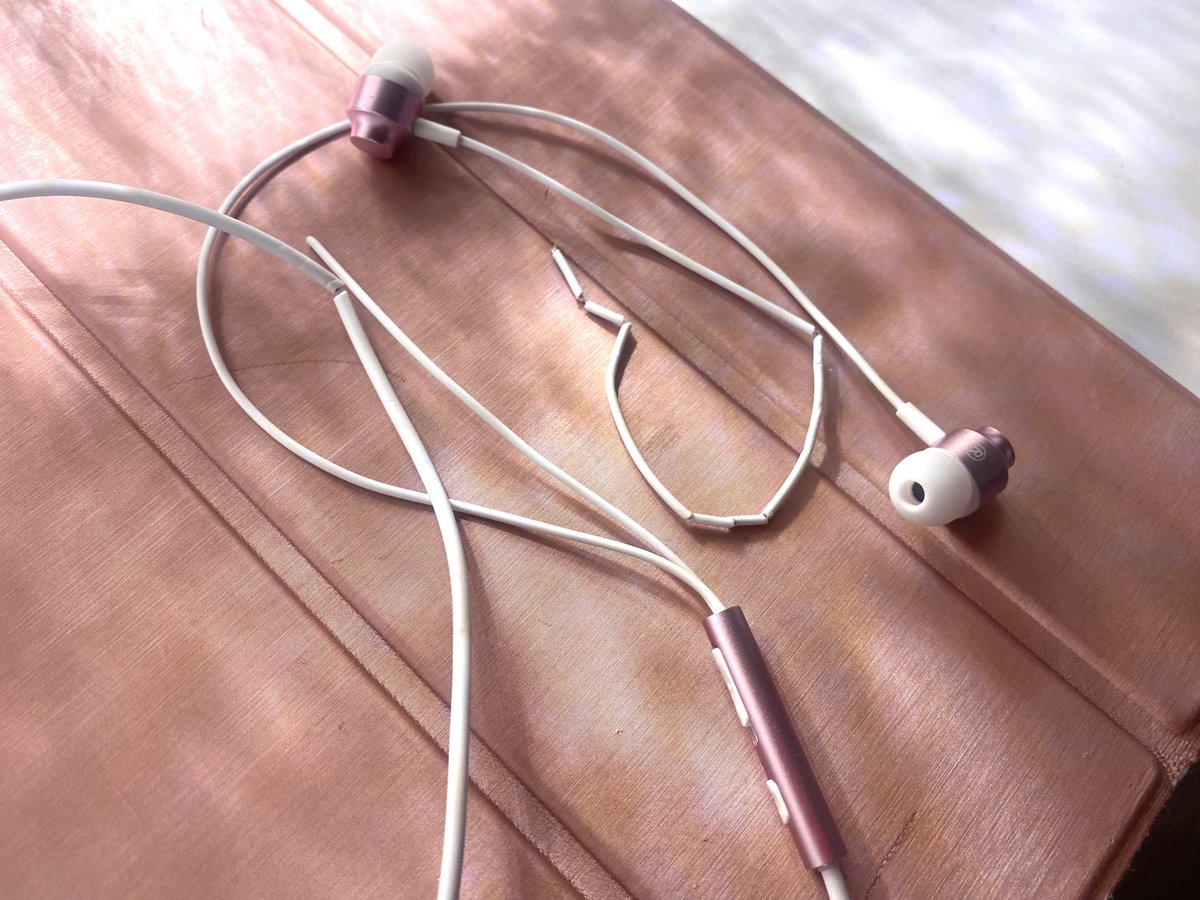 モガミ・ジ・エンド tweet media