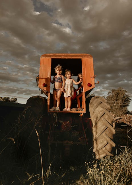 Pamela Crawford tweet media