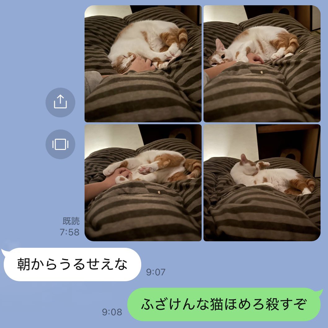 あしゃもん。 tweet media