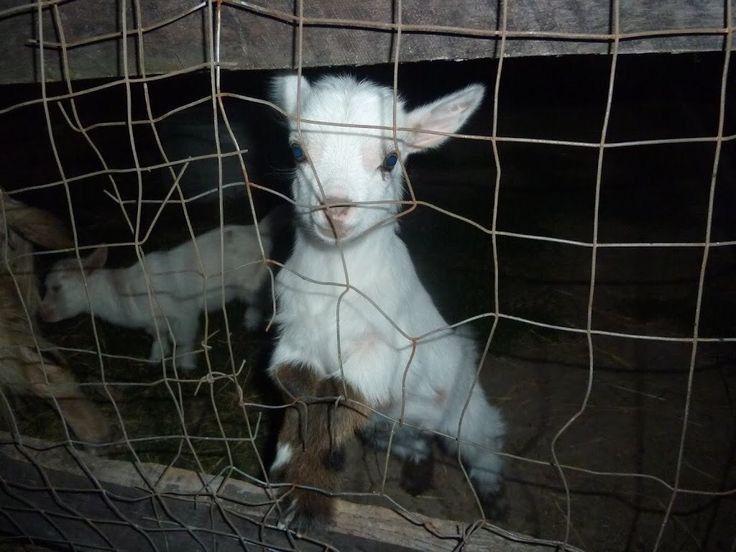 ery ᯓ★ tweet media