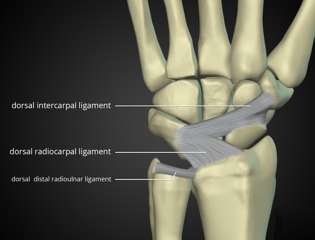 Medical Education tweet media