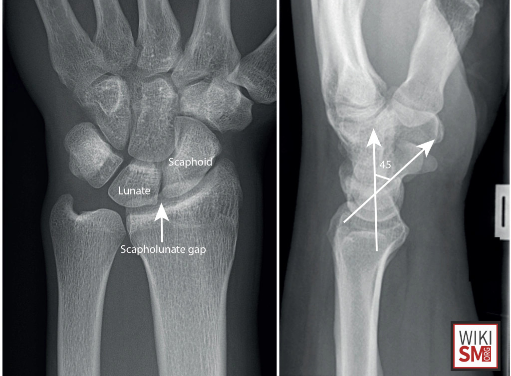 Medical Education tweet media