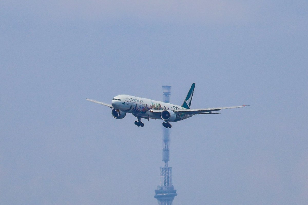 まささん。 tweet media