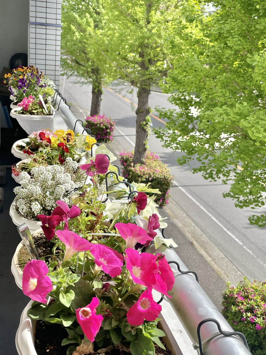 color_be's tweet photo. be-color  新緑の季節
4/2912:00 潮風、春風
池上プレゼンス
カレーを楽しむ会でございます https://t.co/2CposwY6GY