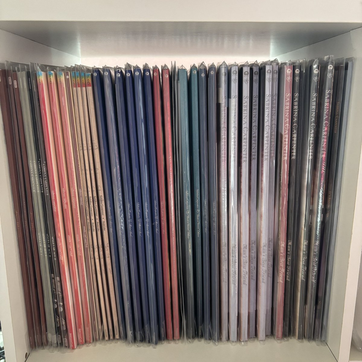 faelyn 💌💋🐾 tweet media