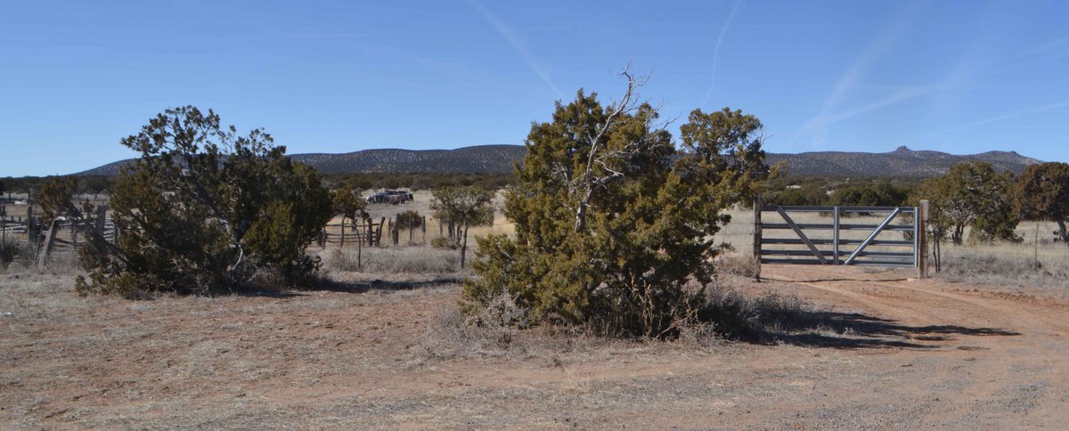 UrantiaChurch's tweet image. #Ranch #Ranchers #Fence #Brush #NewMexico #Desert #Shrubbery #landscapephotography