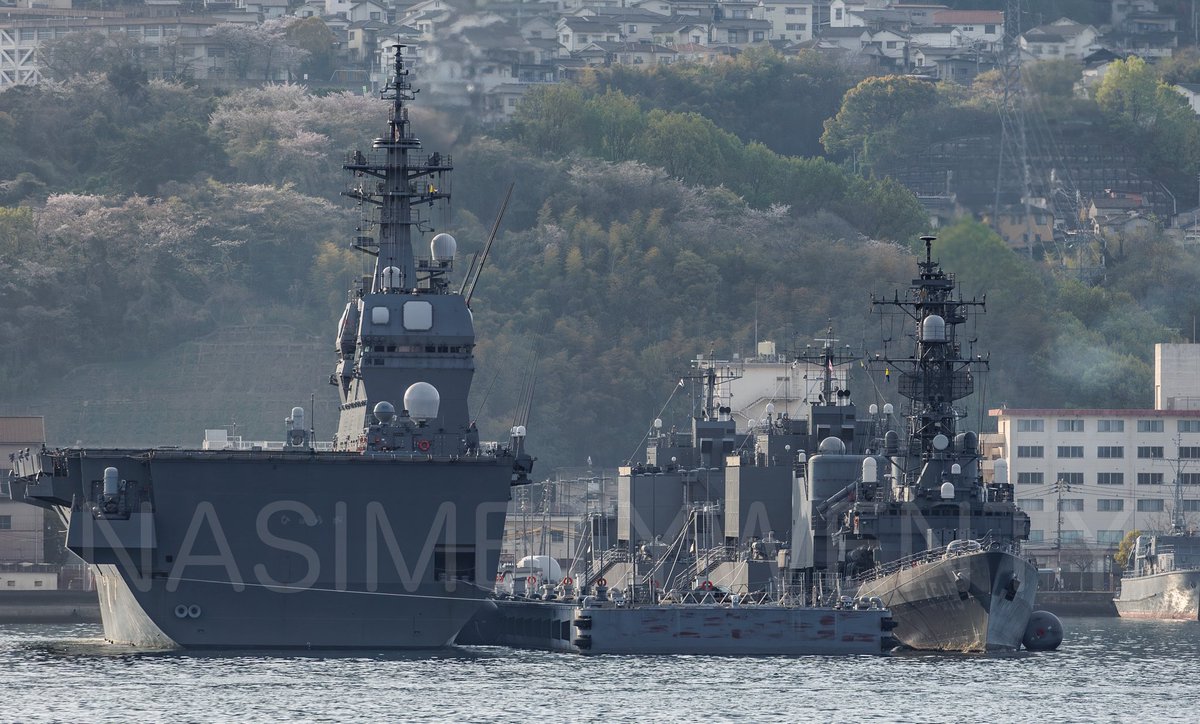 🎾なしめ tweet media