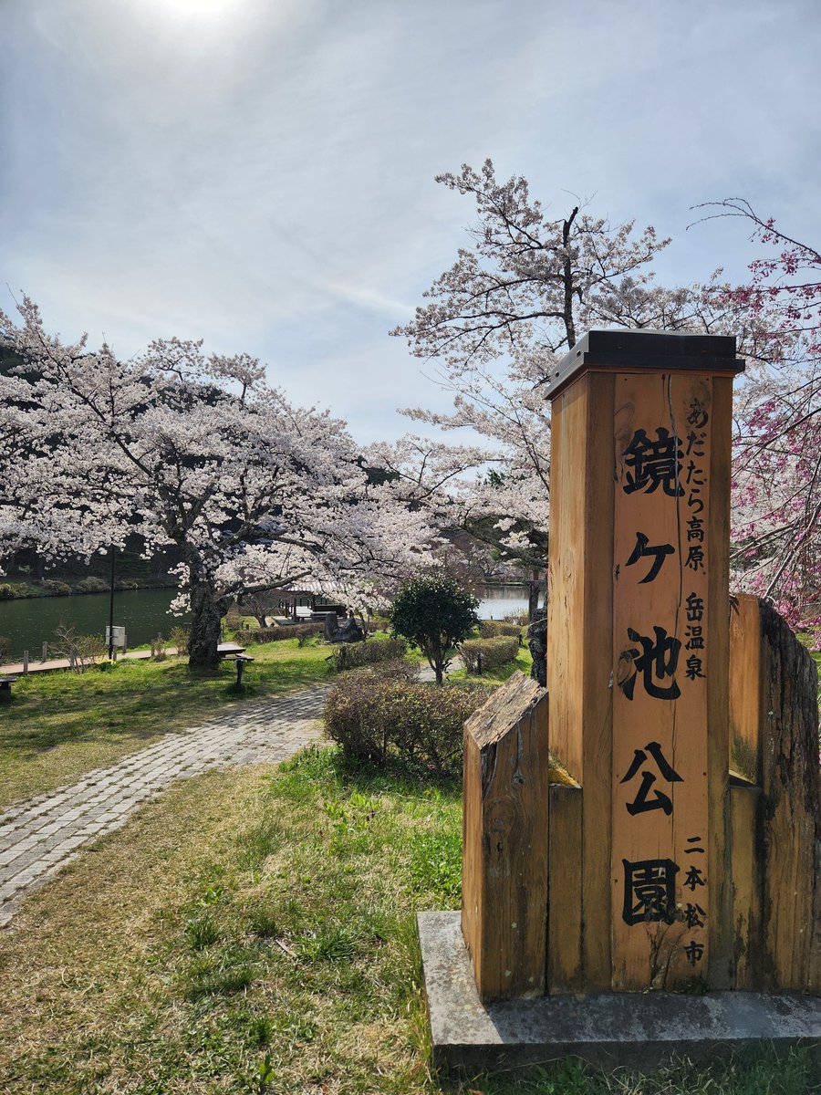 dakeonsen_s's tweet photo. 撮影日　2026年4月13日
開花状況　満開🌸

岳温泉の桜が満開となりました。
本日は風もなく、絶好のお花見日和です🌸桜坂から続く、鏡が池公園から見える安達太良山と桜🌸絶景です。

#二本松の桜
#岳温泉の桜
#岳温泉桜坂
#岳温泉鏡が池公園
#安達太良山 https://t.co/LNFjyn4Tld