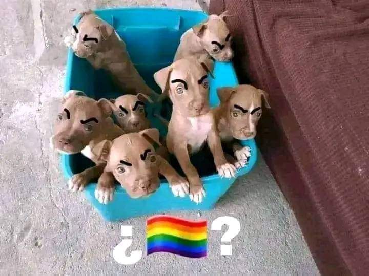 Danilo  tweet media