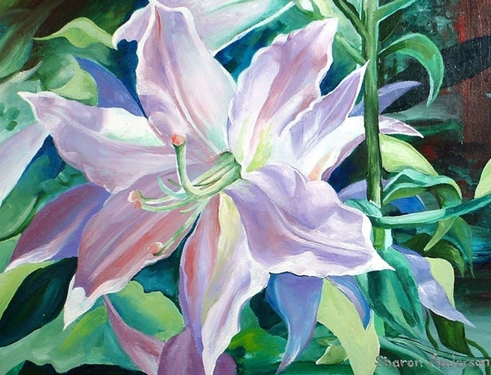 Sharon Anderson tweet media