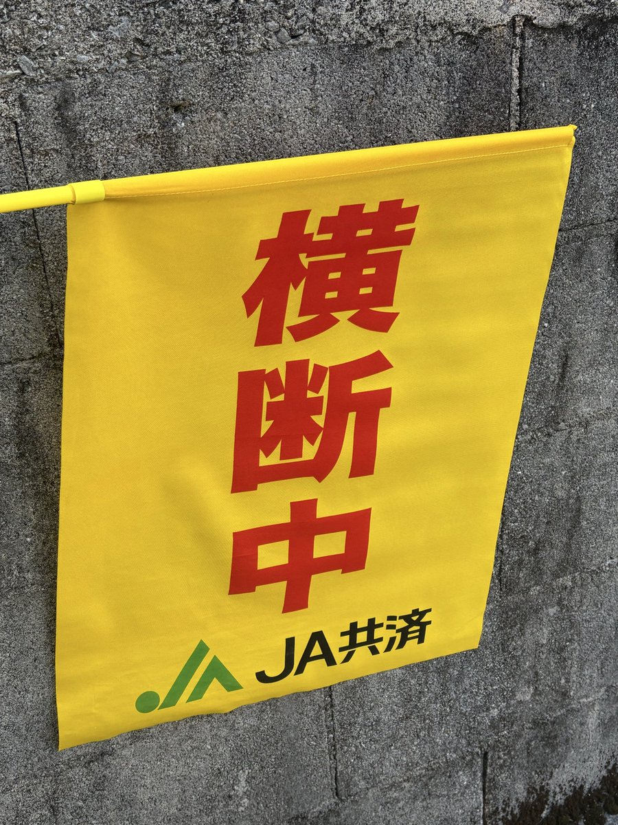 Chunjyunchu's tweet photo. 🏫新学期がスタートし、私の交通安全立哨も１１年目に突入〜🦺🚩

毎年４月は、就職・進学等々で車の流れが変化します🚗🚛🚙🚕🚚

お忙しい朝の時間帯ですが、学校周辺では特に安全運転をお願い致します🙇‍♂️

家の前のひまわりも元気に咲いてます🌻

#新学期 
#スタート 
#交通安全立哨 https://t.co/LWaRgffVJ1