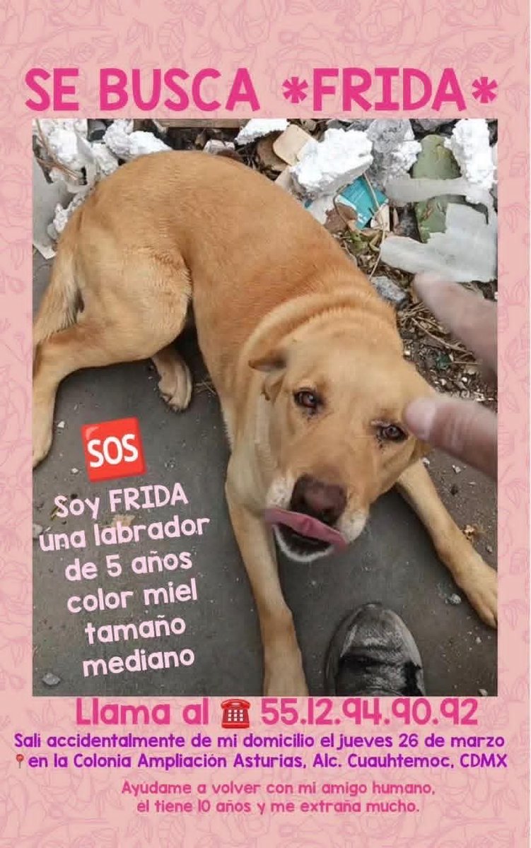 Dra Alejandra tweet media