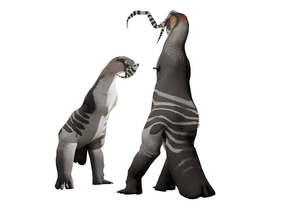 I made a 3d model of <a href="/NoName36865/">❌⭕NoName❌⭕</a> 's funky new little Baropod design! Very fun to make :) #SpecEvo #Art #Blender