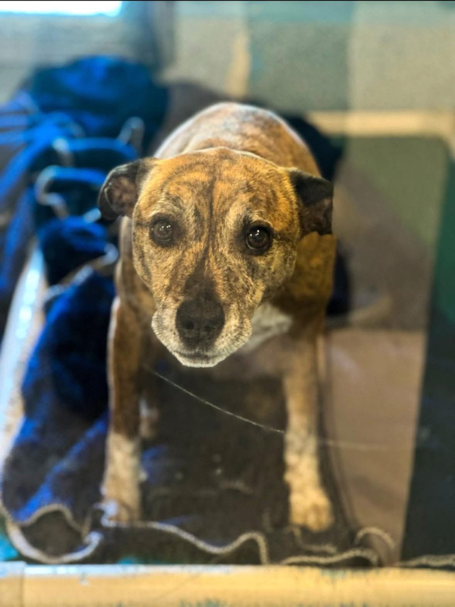 For the love of Missy. tweet media