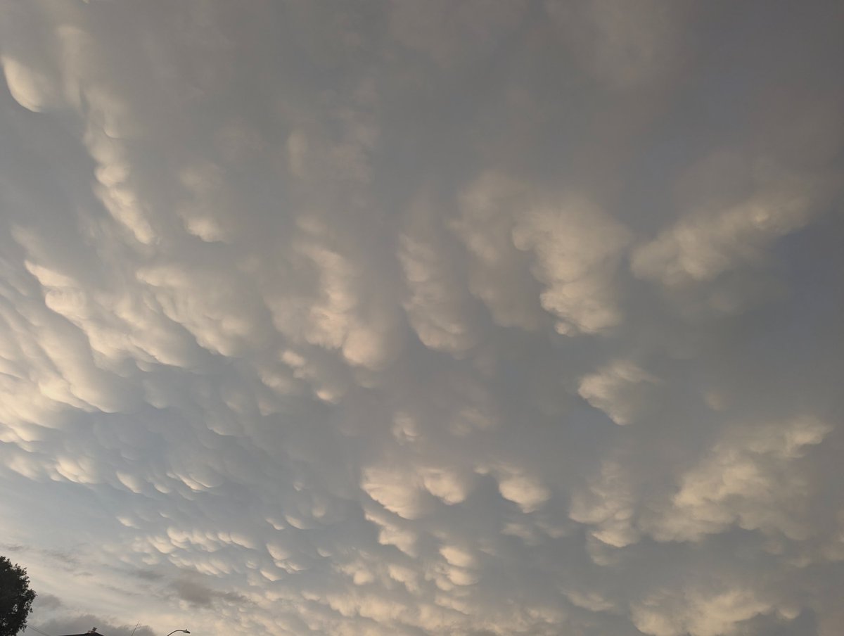 Sensurround (センサラウンド) tweet media