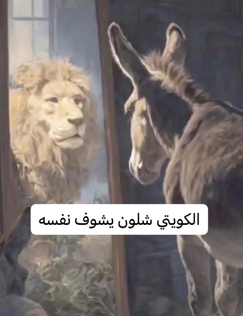 Al Hasan ³¹³ tweet media