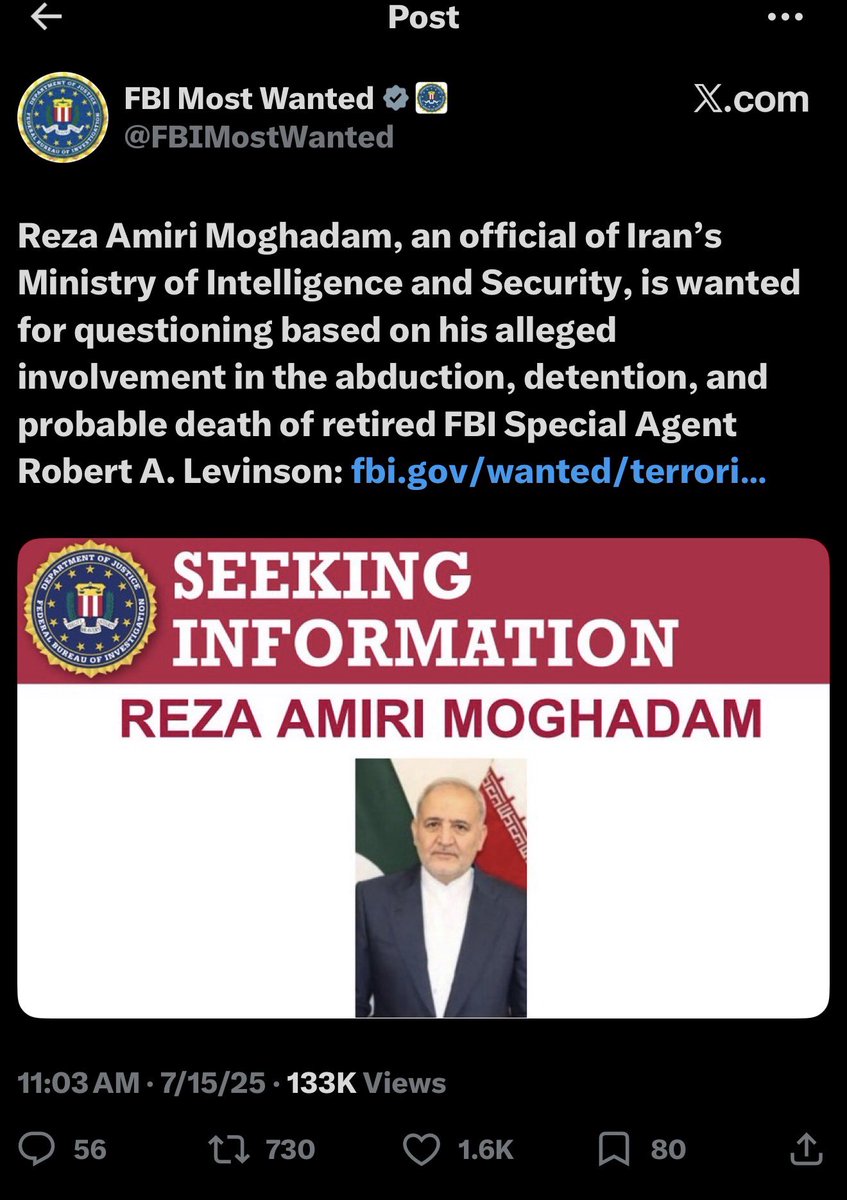 Laura Loomer tweet media