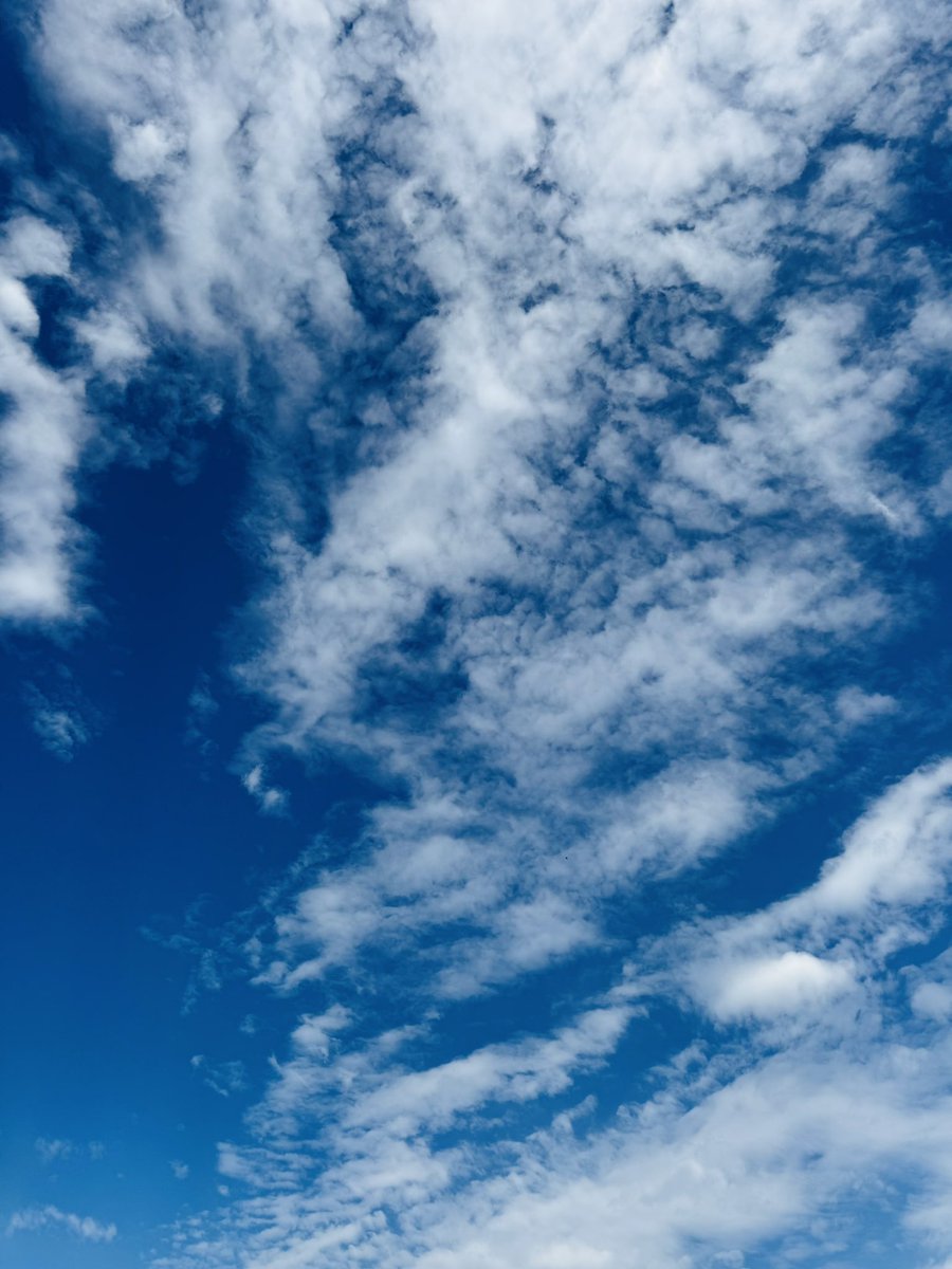 かりんか tweet media