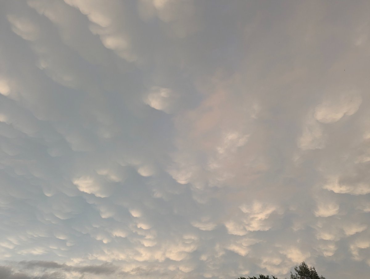 Sensurround (センサラウンド) tweet media