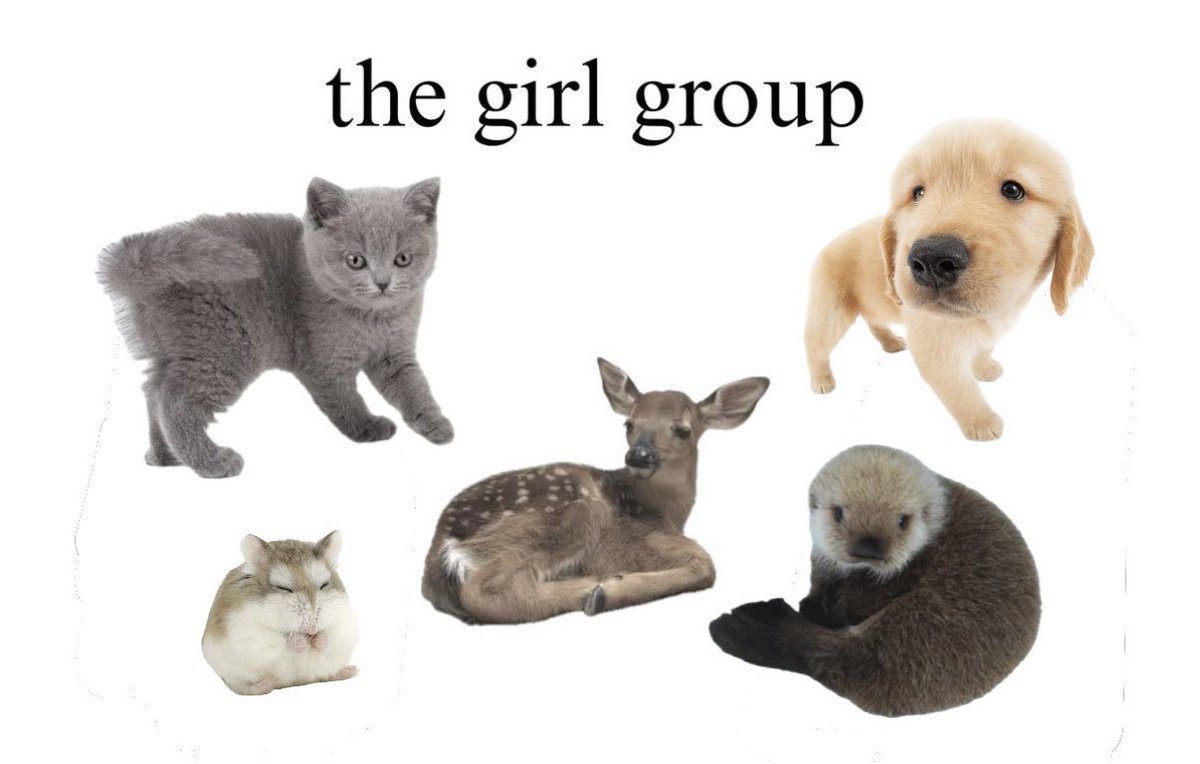 ⁷₂² tweet media