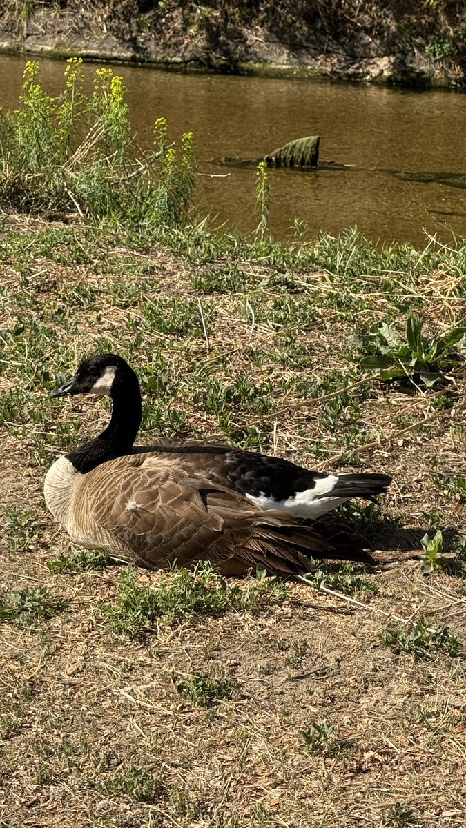 Scott Bateman MBE tweet media