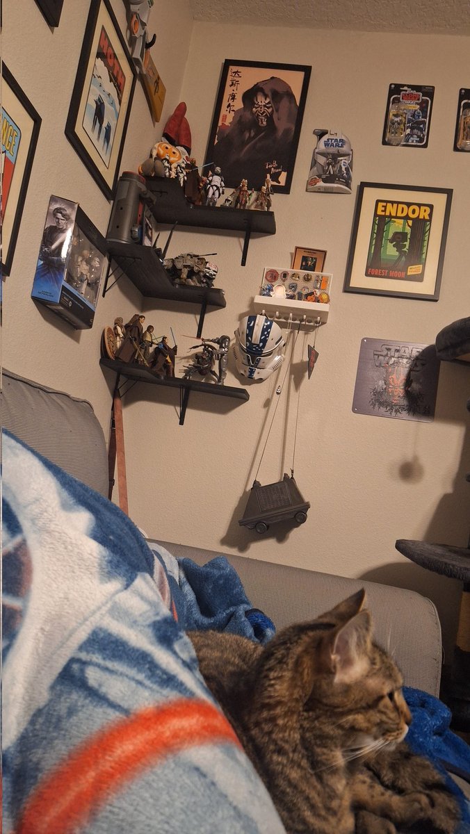 🍉 Hanari (Rex's Wife) tweet media