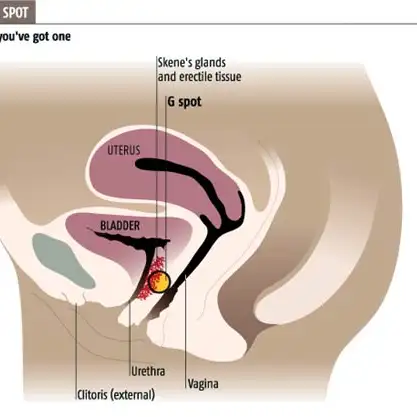 saiken, M.D. 💜🩺 doctor irl & vtuber tweet media