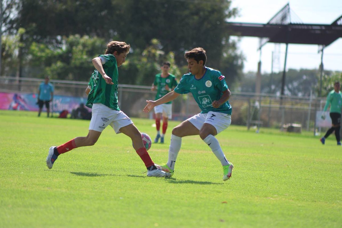 Comude Guadalajara tweet media